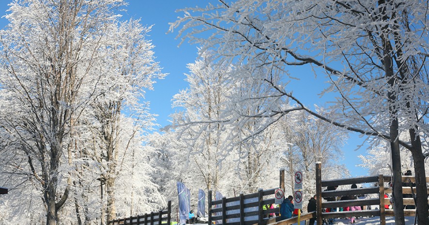 Хотел Стара планина 20